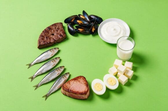Fontes de vitamina B12 — fígado, sardinha, ovos, queijo, leite e iogurte — dispostas em círculo sobre fundo verde-limão